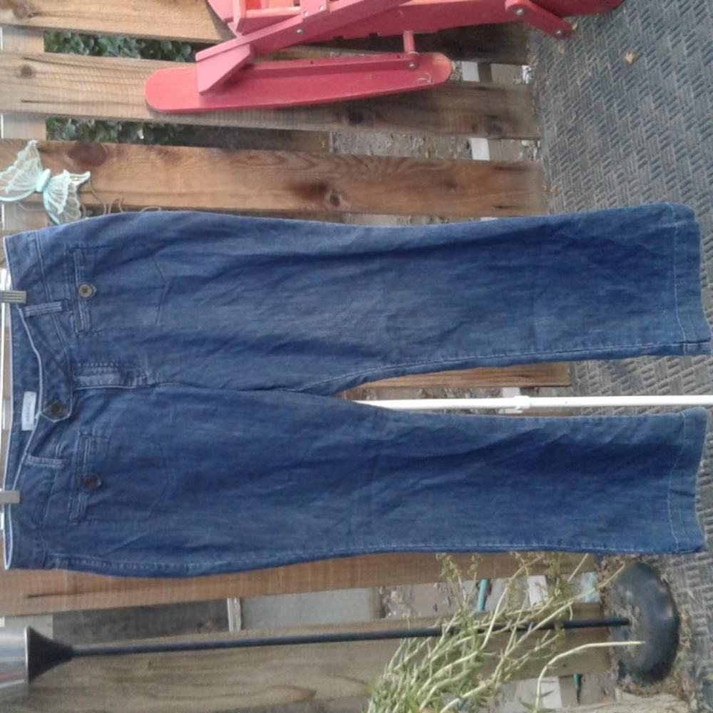 Merona Blue Flare & Wide Leg Jeans
